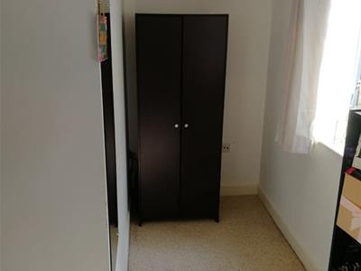 Picture 5